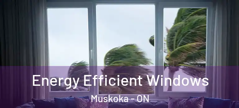  Energy Efficient Windows Muskoka - ON