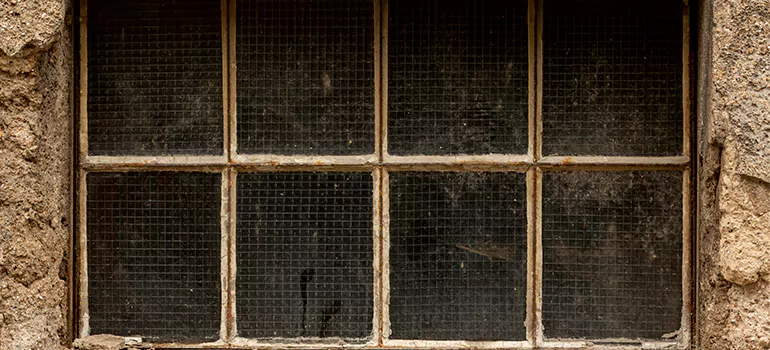 Traditional Double Front Doors in Muskoka, ON