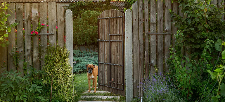 Winter Garden Garage Door Repair in Muskoka,[location field=state]
