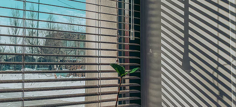 Commercial Window Blinds in Muskoka, ON