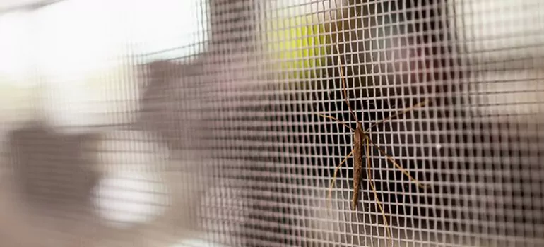 Repair Mosquito Mesh For Windows in Muskoka, ON