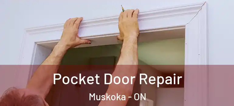  Pocket Door Repair Muskoka - ON
