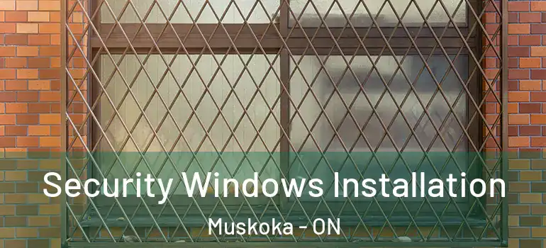  Security Windows Installation Muskoka - ON