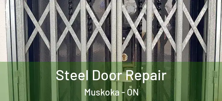  Steel Door Repair Muskoka - ON