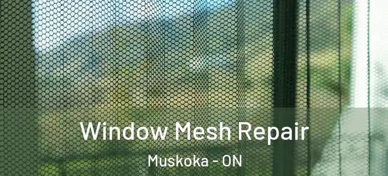  Window Mesh Repair Muskoka - ON