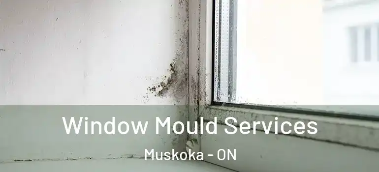  Window Mould Services Muskoka - ON