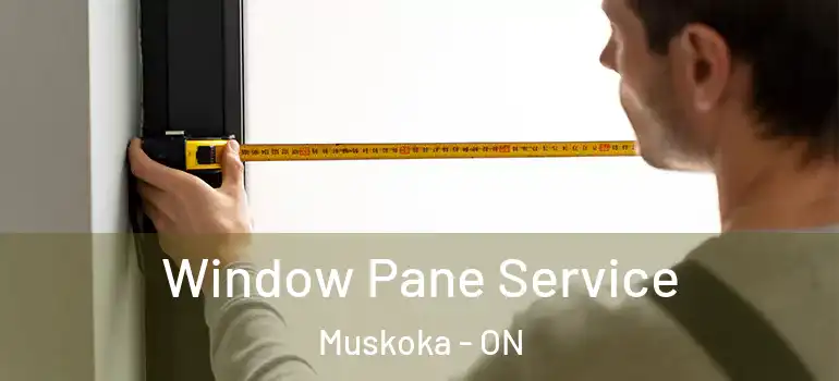 Window Pane Service Muskoka - ON